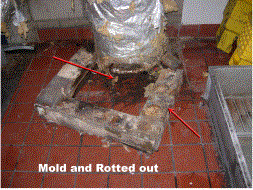 mold abatement